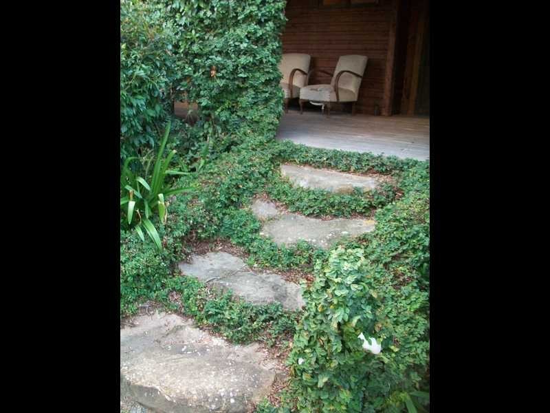 3 Dog Trap Creek Rd, East Gresford NSW 2311