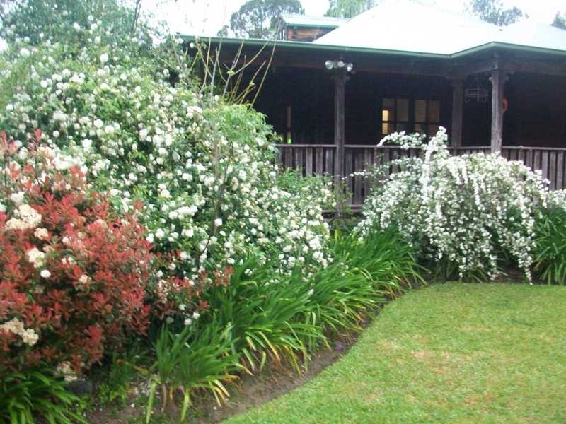 3 Dog Trap Creek Rd, East Gresford NSW 2311