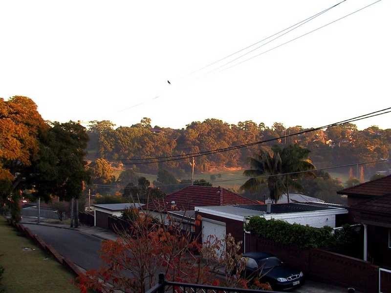 20 East Street, Bardwell Valley NSW 2207