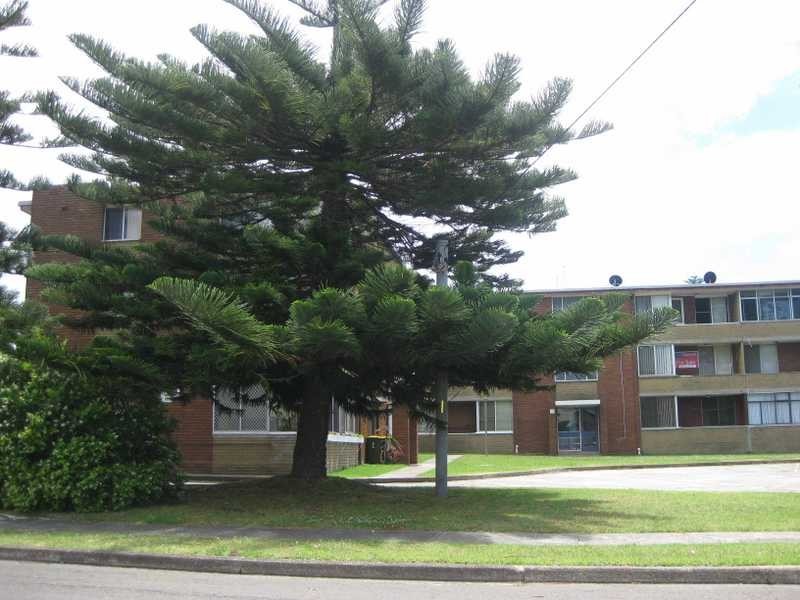 11/3 Allan Street, Port Kembla NSW 2505