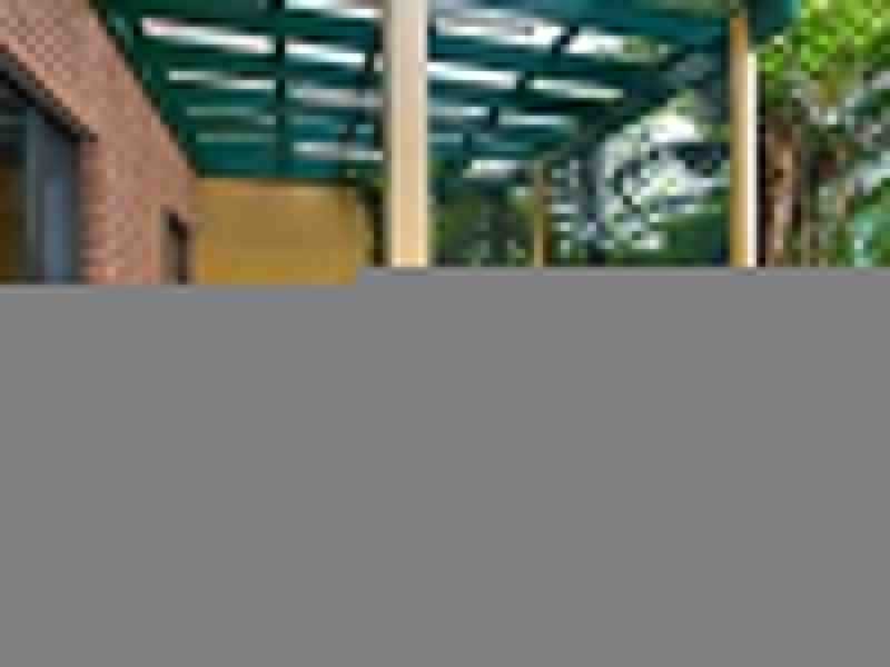 445 Homer Street, Earlwood NSW 2206