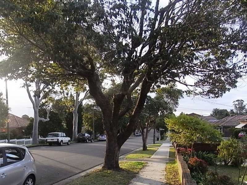 10 St Elmo Parade, Kingsgrove NSW 2208