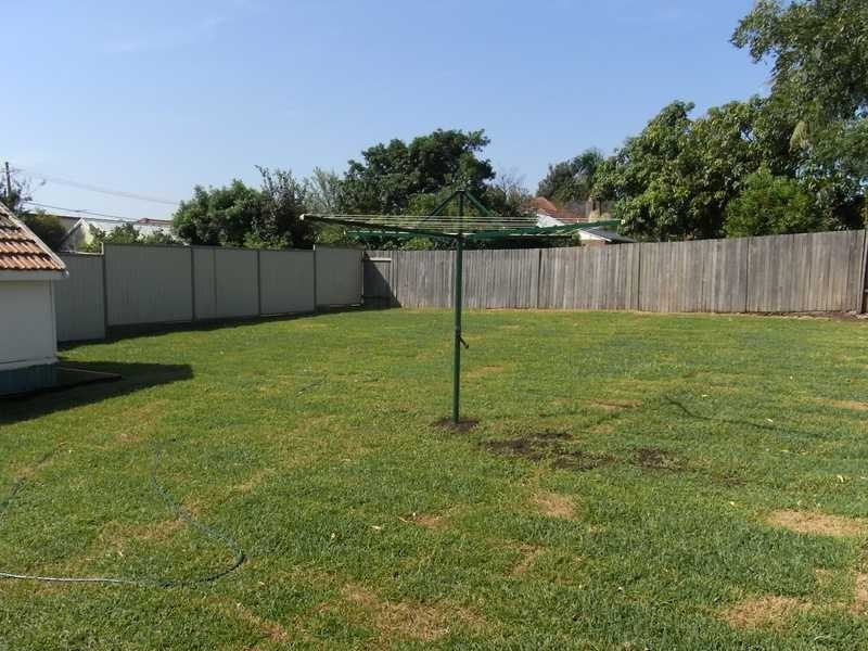 56 Coveney Street, Bexley North NSW 2207