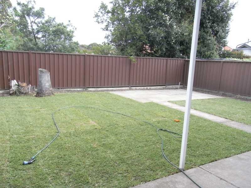 53 Cressy Street, Canterbury NSW 2193