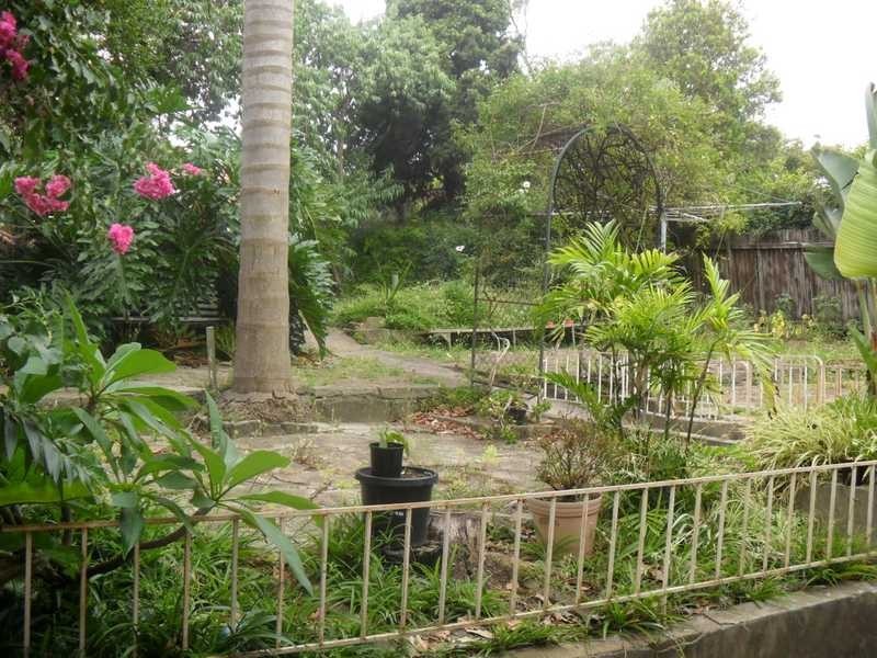 354 Bexley Road, Bexley North NSW 2207