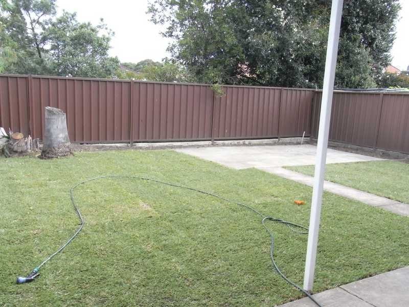 53 Cressy Street, Canterbury NSW 2193