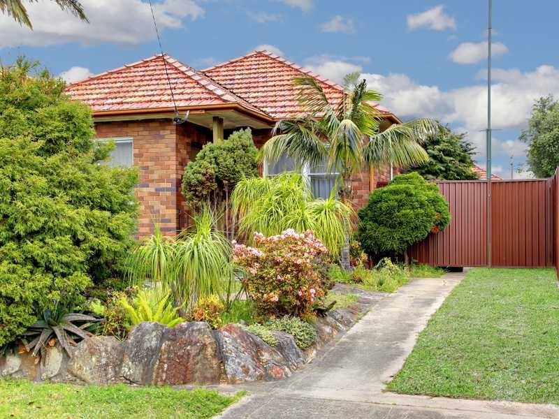 11 Lynesta Avenue, Bexley North NSW 2207