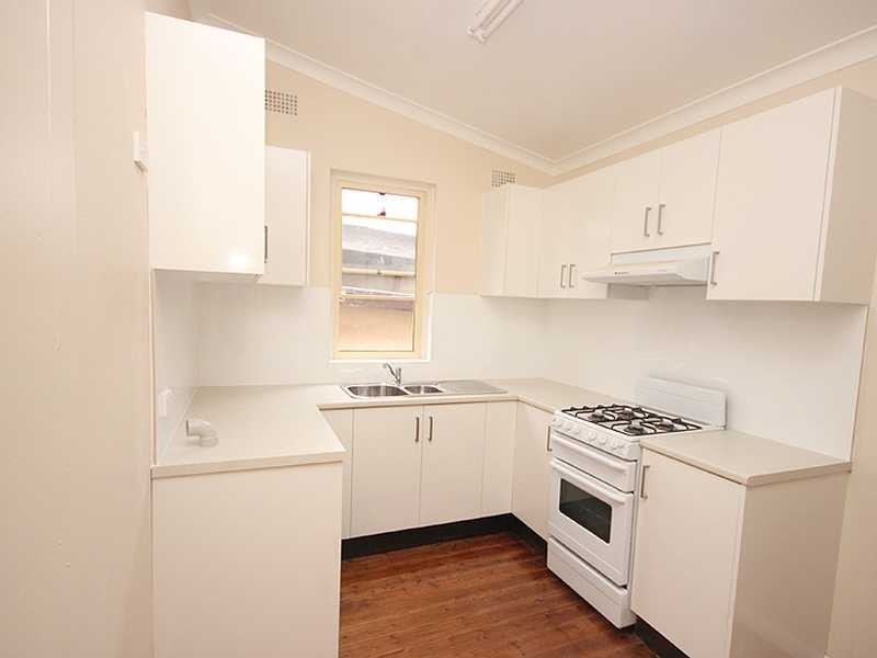 11 Potter Avenue, Earlwood NSW 2206