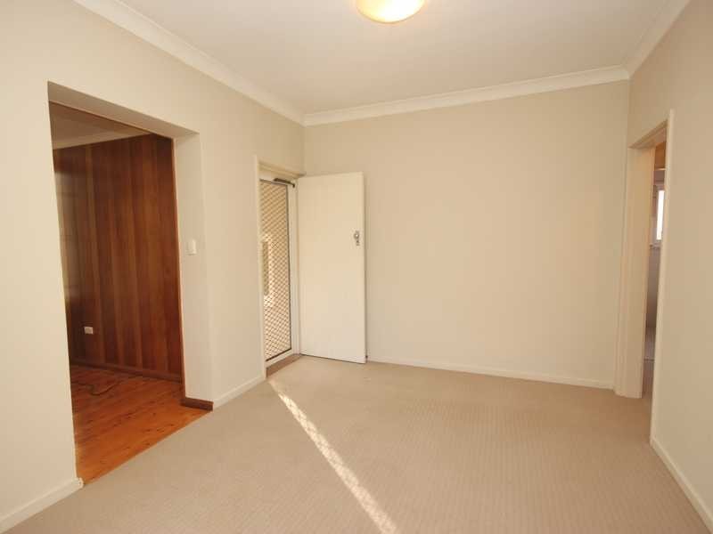 41 Turton Avenue, Clemton Park NSW 2206