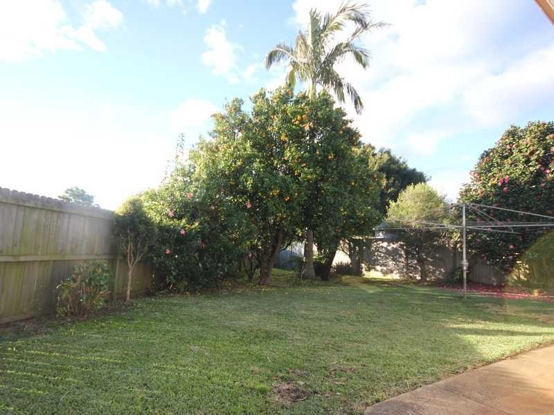 41 Turton Avenue, Clemton Park NSW 2206