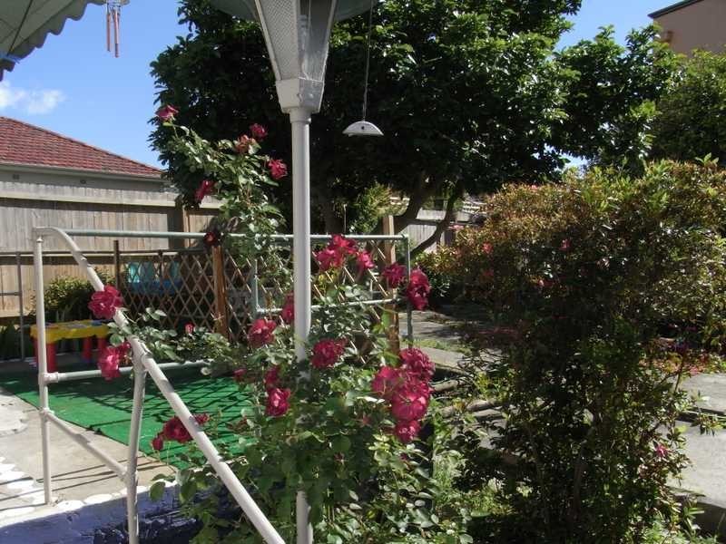 20 Benjamin Street, Bexley North NSW 2207