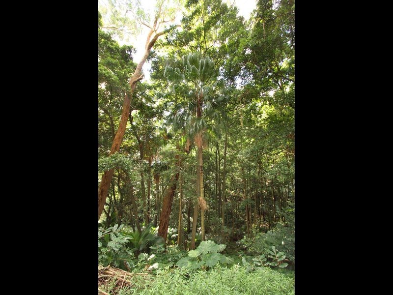 20 Domville Road, Otford NSW 2508