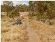 Lot 151 Fernleigh Close, Windellama NSW 2580