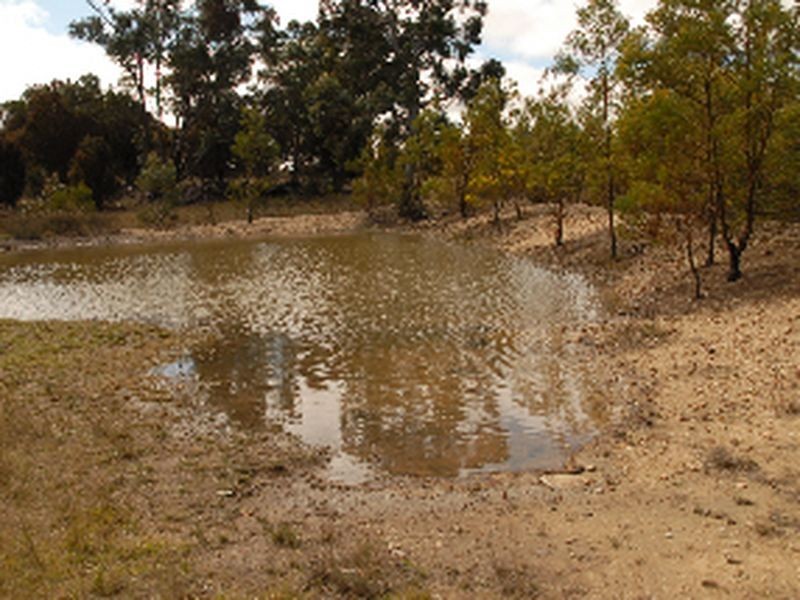 Lot 151 Fernleigh Close, Windellama NSW 2580
