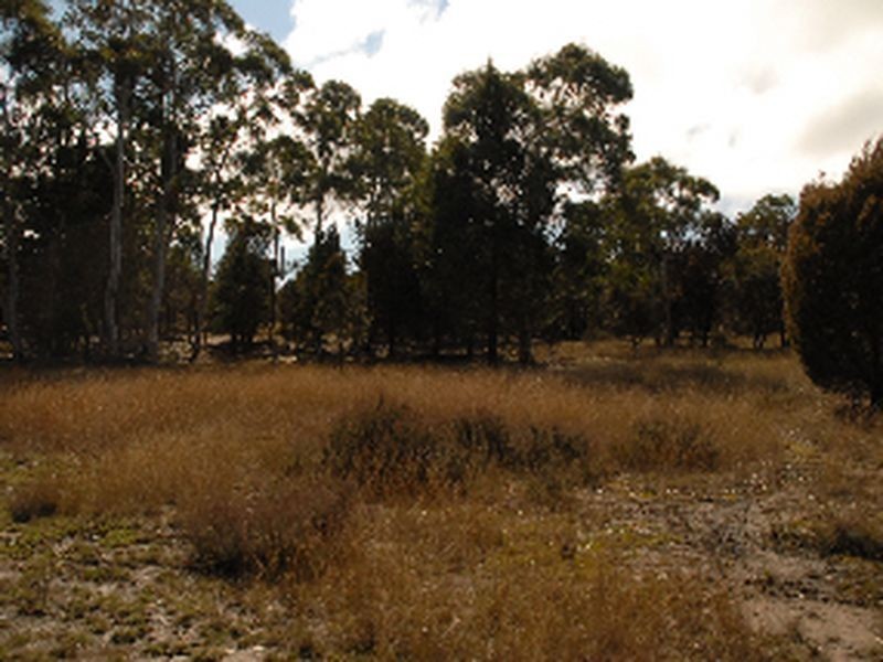 Lot 151 Fernleigh Close, Windellama NSW 2580