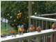4 Old Coast Road, Stanwell Park NSW 2508