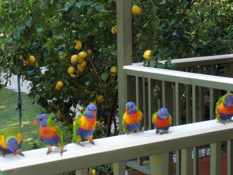 4 Old Coast Road, Stanwell Park NSW 2508