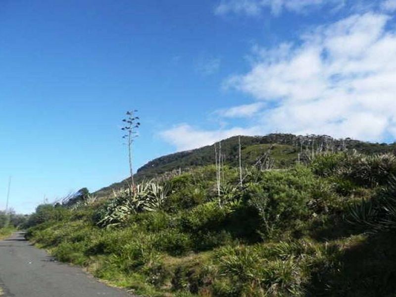 71 Lower Coast Road, Stanwell Park NSW 2508