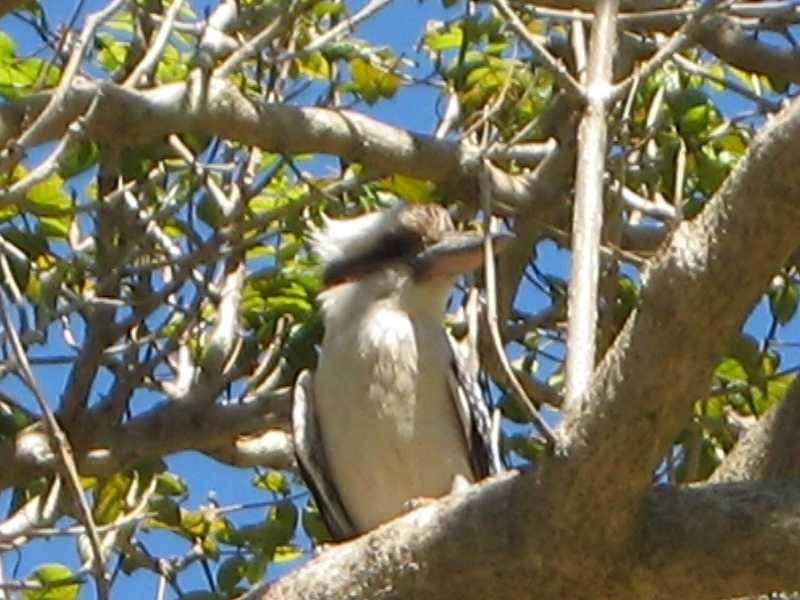 Brookfield QLD 4069