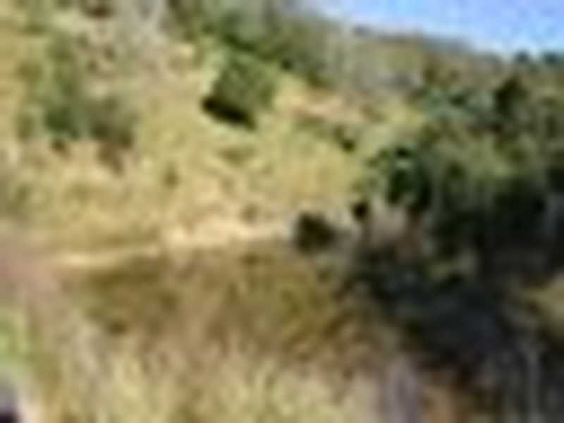 Brookfield QLD 4069