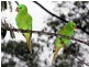 Mount Crosby QLD 4306