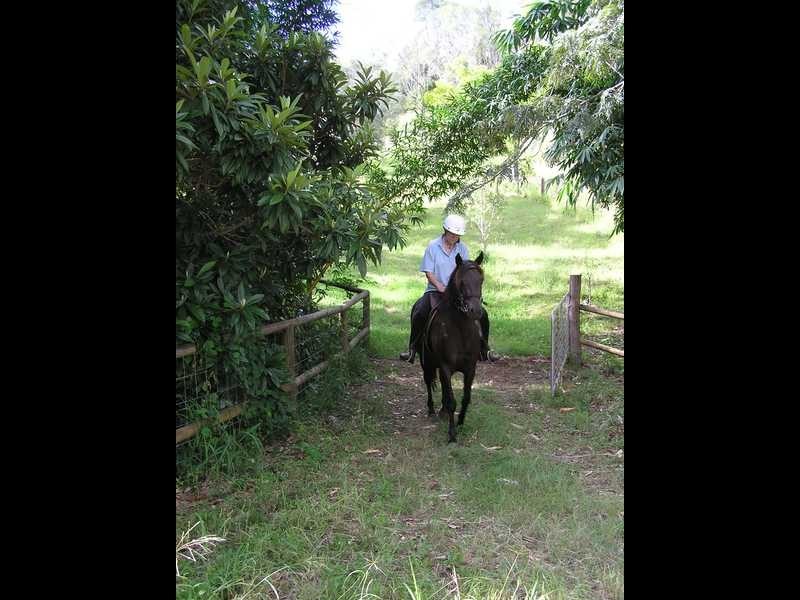 804 Upper Brookfield Road, Upper Brookfield QLD 4069