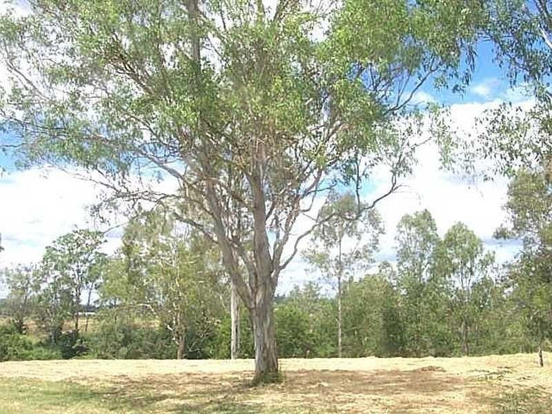 Barellan Point QLD 4306