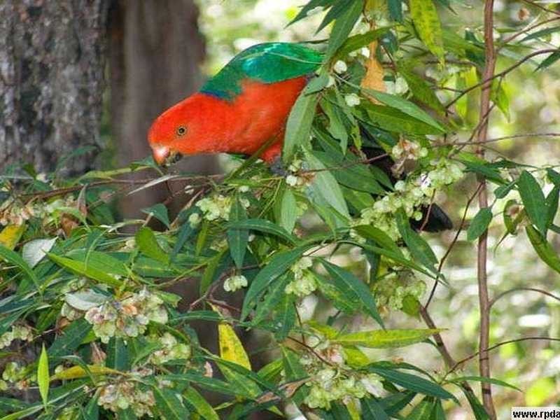 Upper Brookfield QLD 4069
