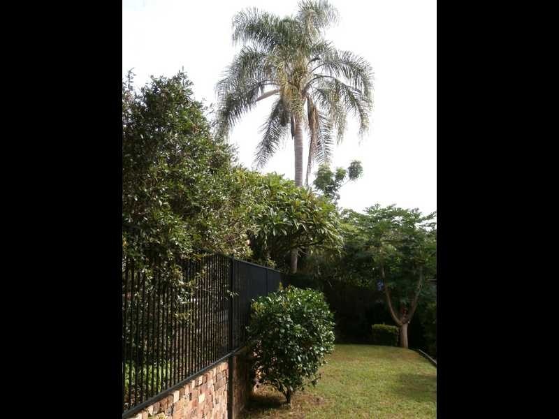 15 Allspice Street, Bellbowrie QLD 4070