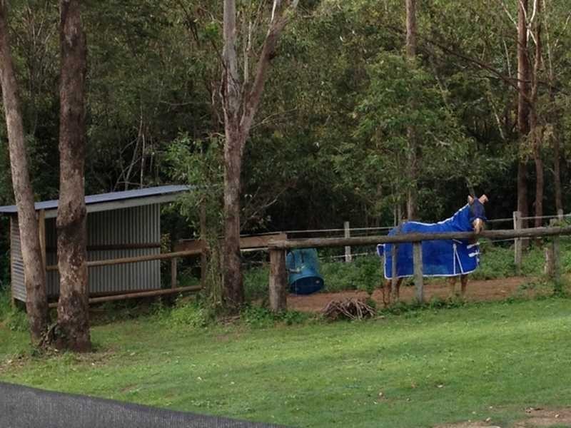 29 Dandys Court, Kholo QLD 4306