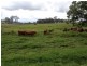 Belli Park QLD 4562