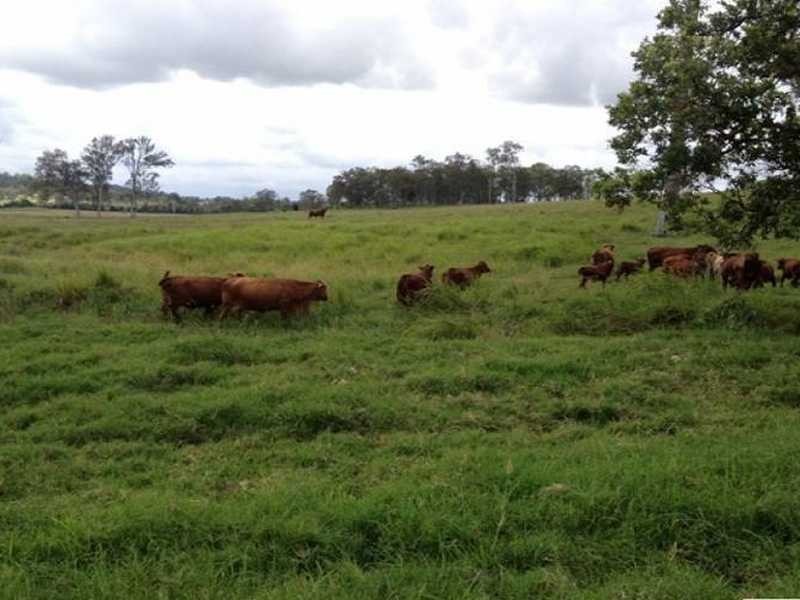 Belli Park QLD 4562