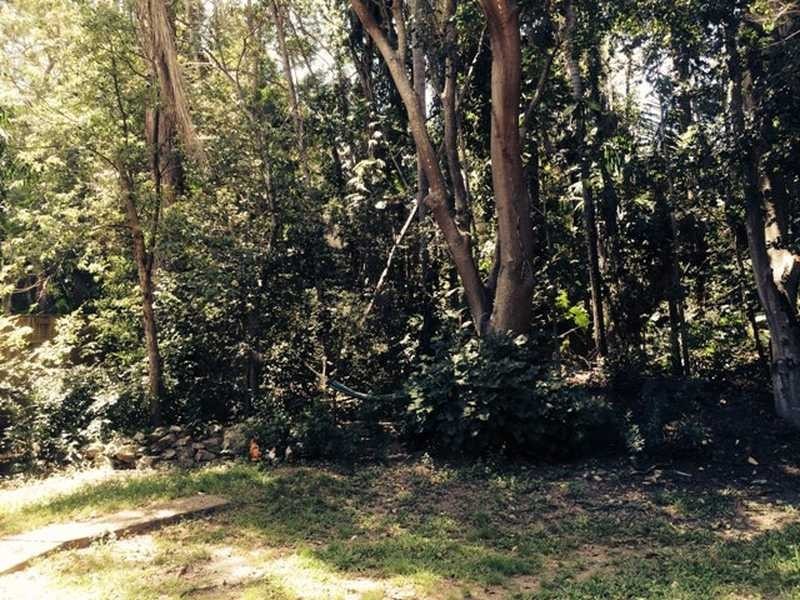 73 MOORDALE STREET, Chapel Hill QLD 4069