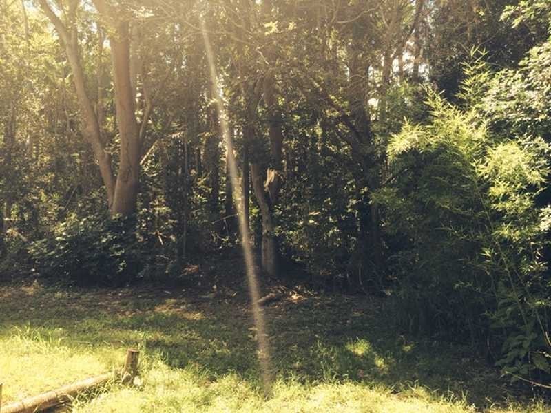73 MOORDALE STREET, Chapel Hill QLD 4069