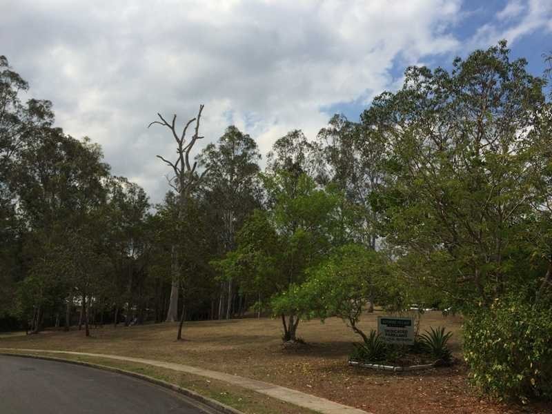 80 Mirbelia Street, Kenmore Hills QLD 4069