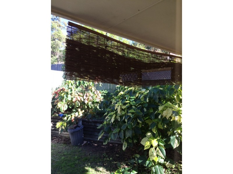 10 Glen court, Kenmore QLD 4069