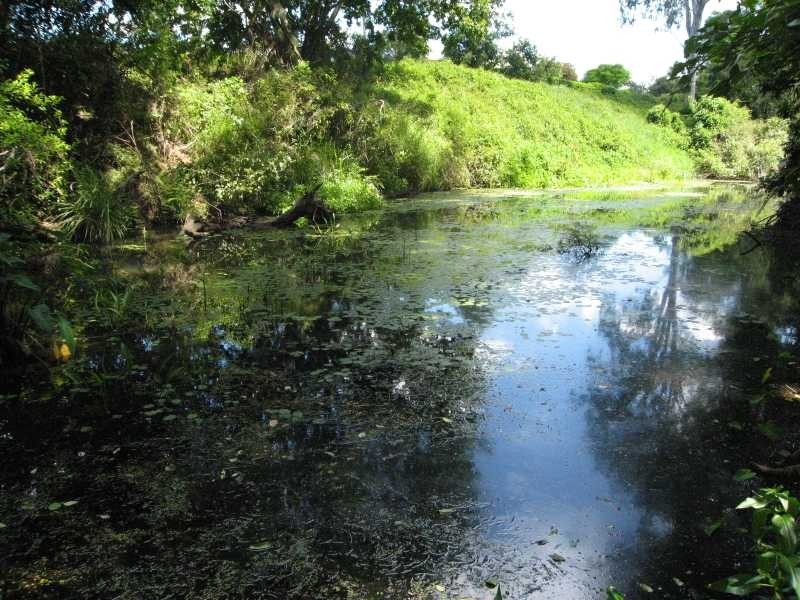Kenmore Hills QLD 4069