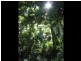Kenmore Hills QLD 4069