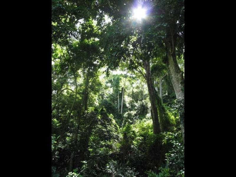 Kenmore Hills QLD 4069