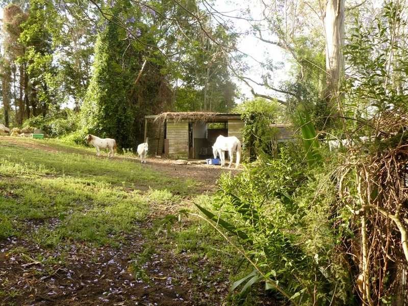 Moggill QLD 4070