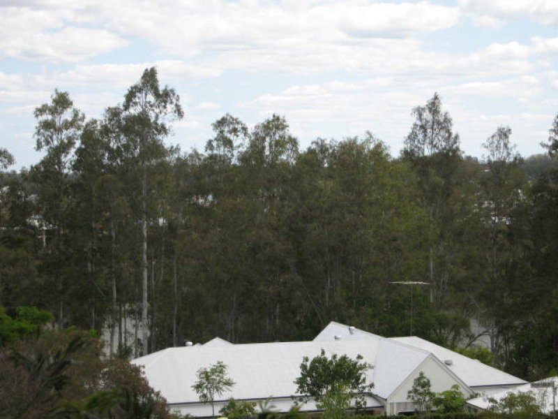 54 Robertson Place, Fig Tree Pocket QLD 4069