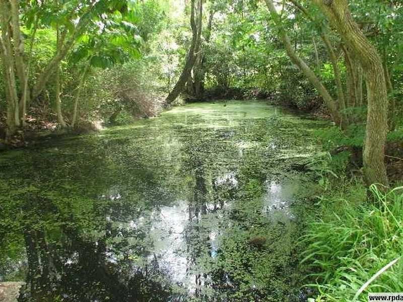 609 Hawkesbury Road, Anstead QLD 4070