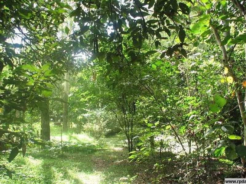 609 Hawkesbury Road, Anstead QLD 4070