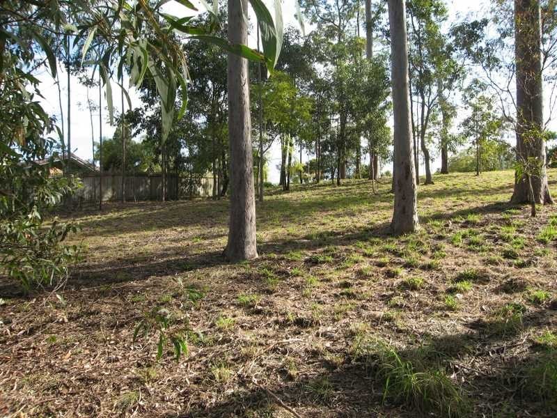 Fig Tree Pocket QLD 4069