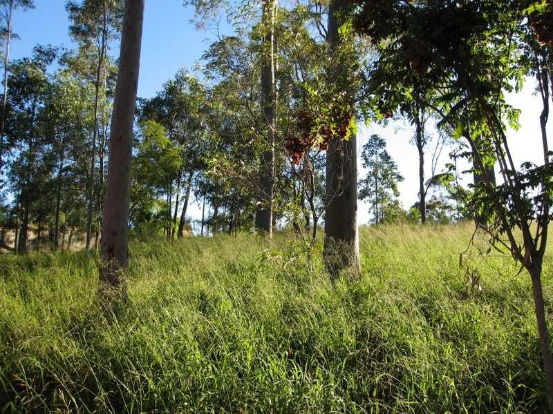 Fig Tree Pocket QLD 4069