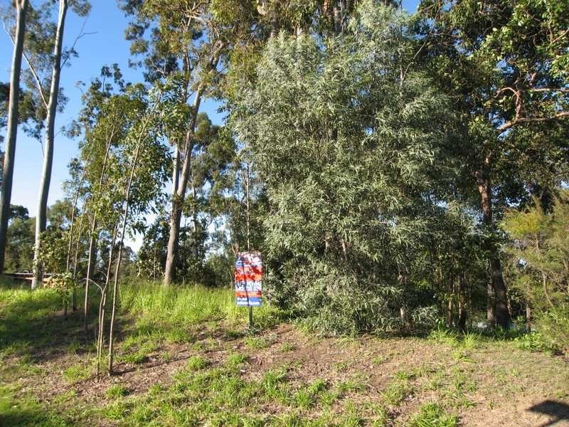 Fig Tree Pocket QLD 4069