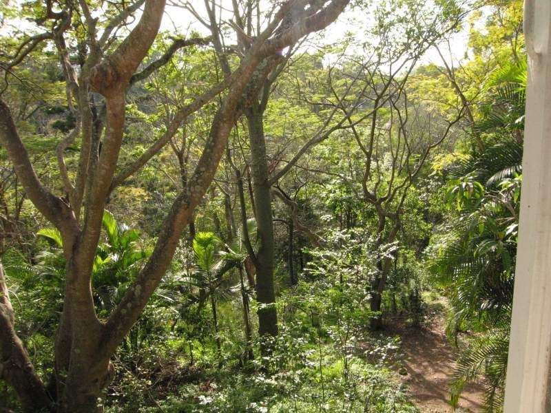 Chapel Hill QLD 4069