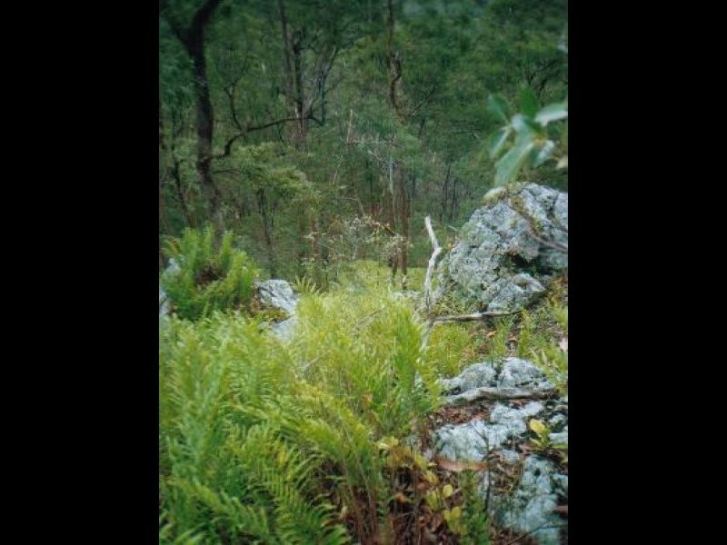 Upper Brookfield QLD 4069