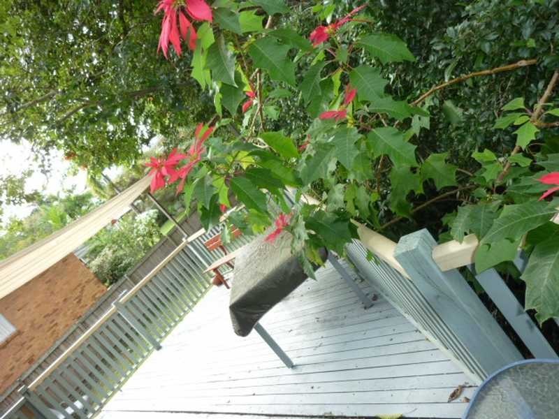 26 Meagan Street, Kenmore QLD 4069