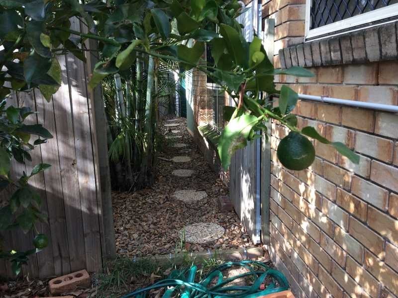 6a Cedrella Street, Moggill QLD 4070